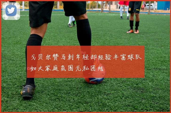戈贝尔赞马刺年轻却经验丰富球队如大家庭氛围无私团结